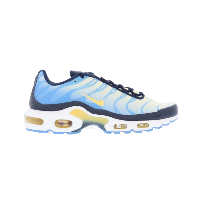 Air Max Plus University Blue Topaz Gold