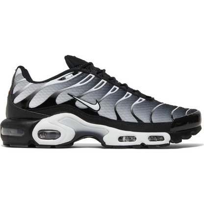 Air Max Plus Smokes