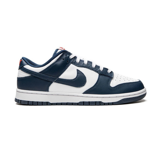 Dunk Low Valerian Blue